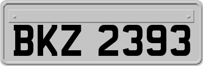 BKZ2393