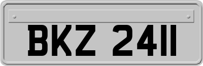 BKZ2411