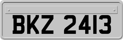 BKZ2413