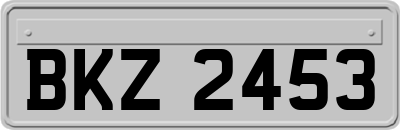 BKZ2453