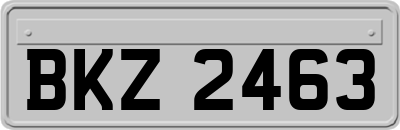 BKZ2463