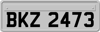 BKZ2473