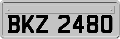 BKZ2480