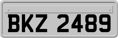 BKZ2489