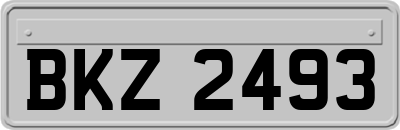 BKZ2493