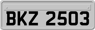 BKZ2503