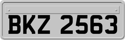 BKZ2563