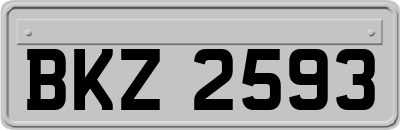 BKZ2593