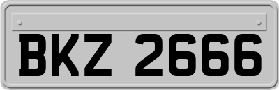 BKZ2666
