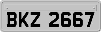 BKZ2667