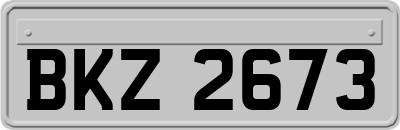 BKZ2673