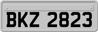BKZ2823