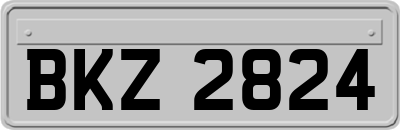 BKZ2824