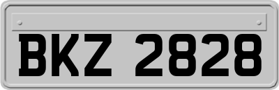 BKZ2828