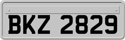 BKZ2829