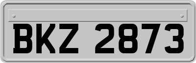 BKZ2873