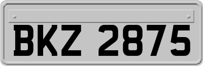 BKZ2875
