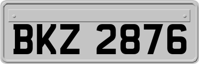 BKZ2876