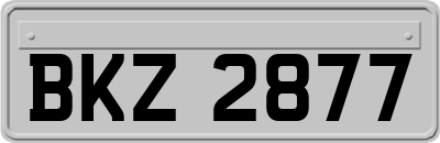 BKZ2877