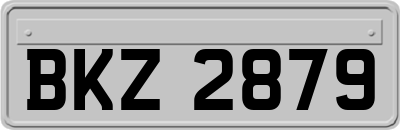 BKZ2879