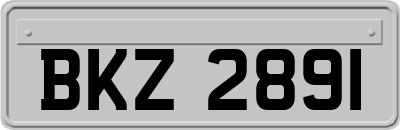 BKZ2891