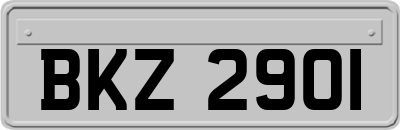 BKZ2901