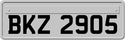 BKZ2905