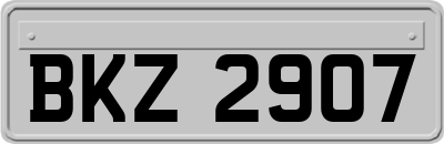 BKZ2907