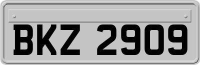 BKZ2909