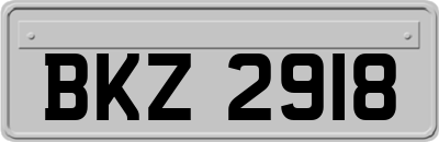 BKZ2918