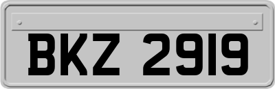 BKZ2919