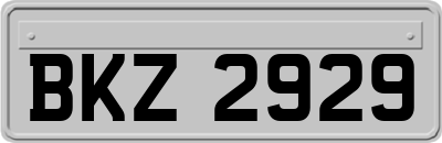 BKZ2929
