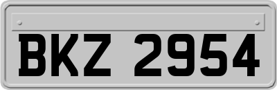 BKZ2954