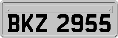 BKZ2955