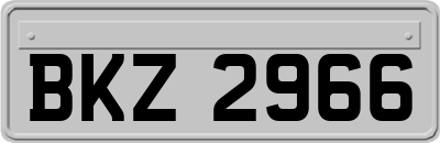 BKZ2966