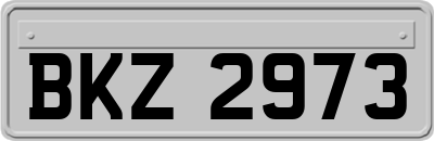 BKZ2973