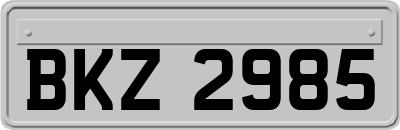 BKZ2985