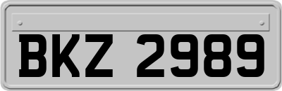 BKZ2989