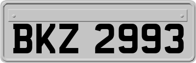BKZ2993