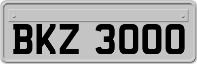BKZ3000