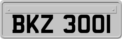 BKZ3001