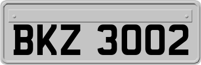 BKZ3002