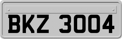 BKZ3004