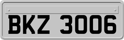 BKZ3006