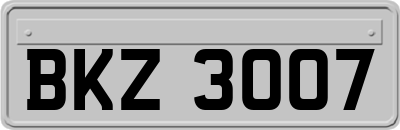 BKZ3007