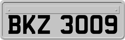 BKZ3009