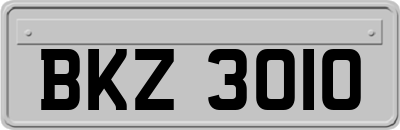 BKZ3010