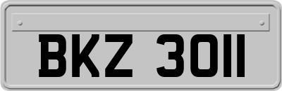 BKZ3011
