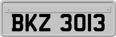 BKZ3013