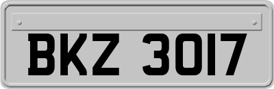 BKZ3017